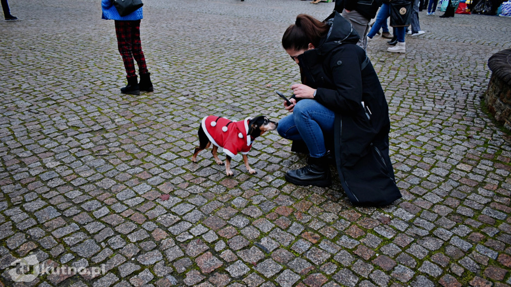 Szkło must go on - w Kutnie idziemy na rekord!