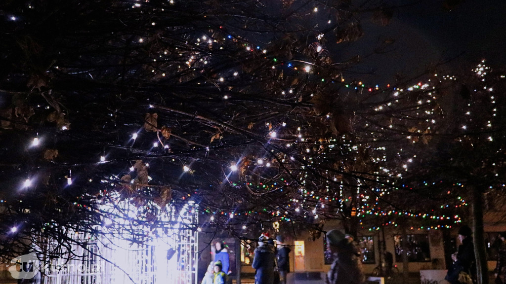 Iluminacje świetlne w Kutnie 2025