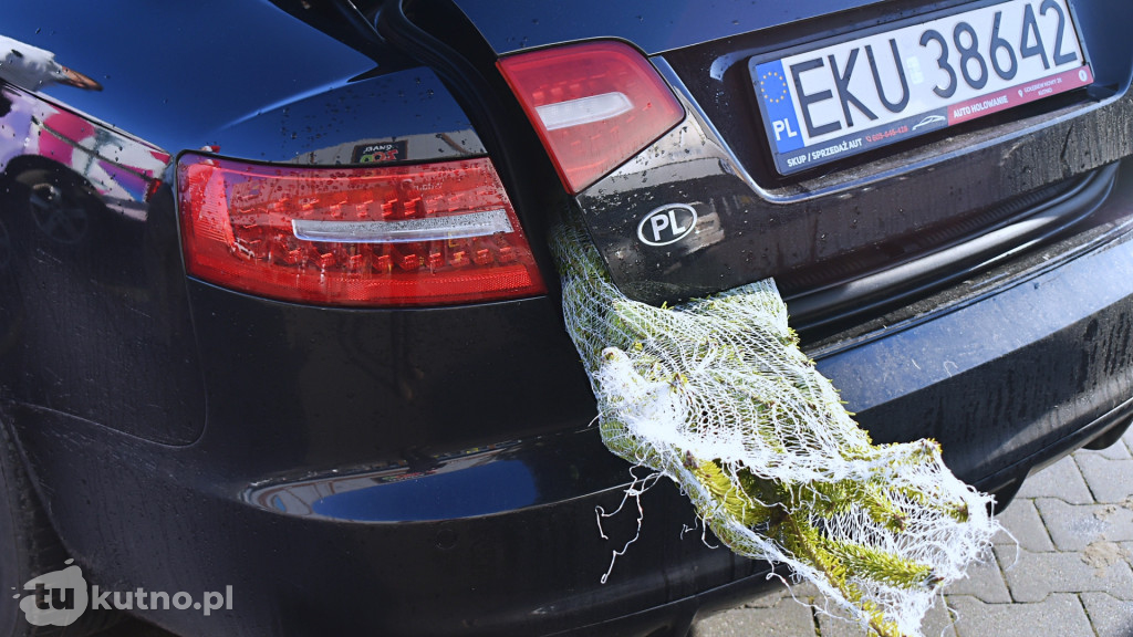 Pomocnicy Świętego Mikołaja rozdali drzewka!