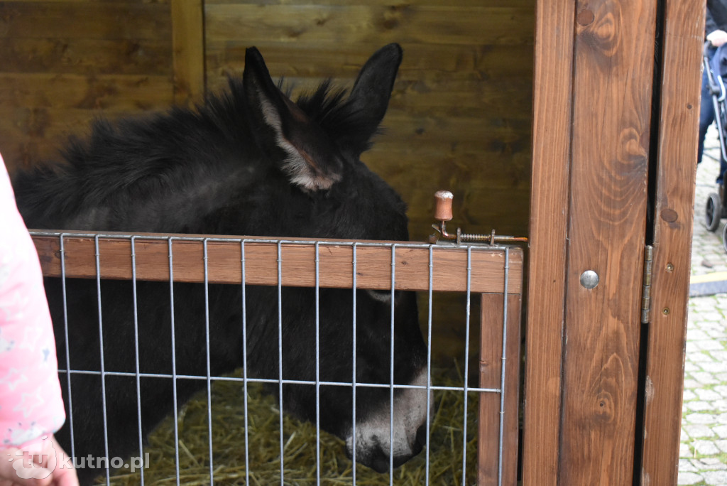 Wigilia Miejska w Kutnie