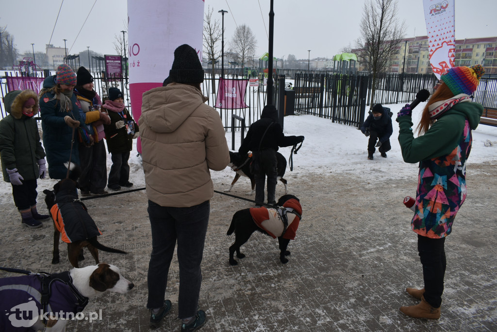 Gorące serca na „Zielonej Zośce”: WOŚP w Kutnie!