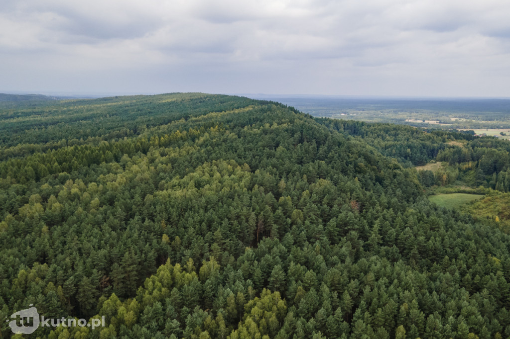Top 7 propozycji na walentynkowy spacer w Łódzkiem