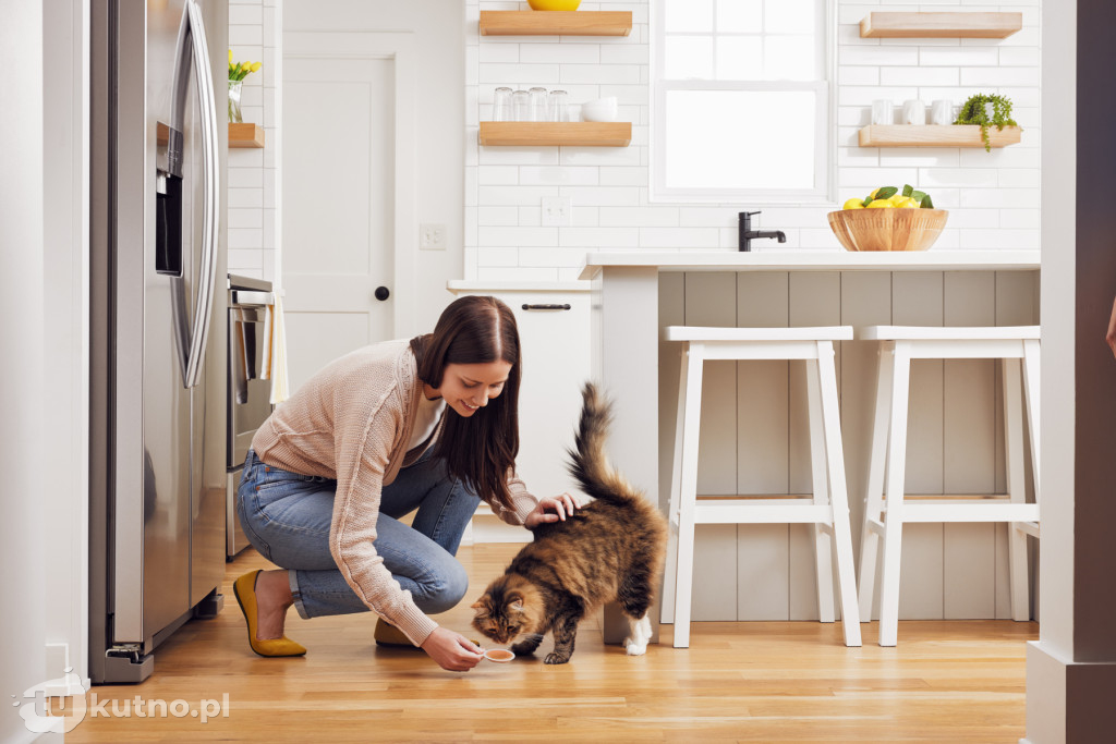 Dzień Kota: 5 faktów o kotach, które mogą Cię zaskoczyć