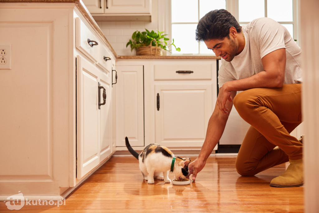 Dzień Kota: 5 faktów o kotach, które mogą Cię zaskoczyć