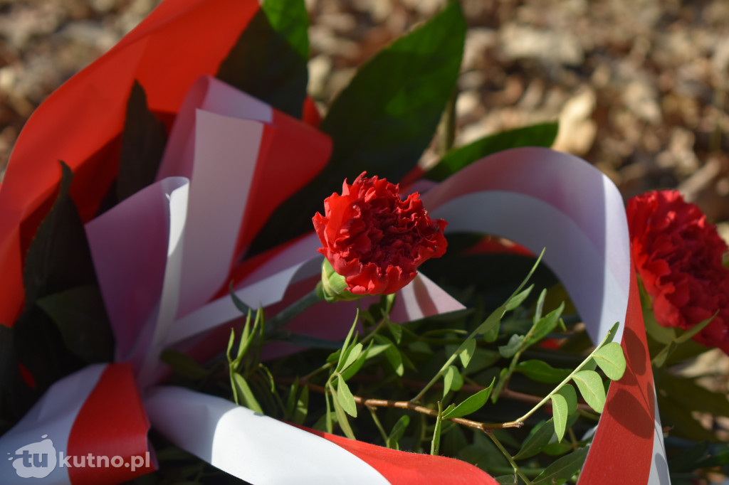 Kutno: Bieg Tropem Wilczym i hołd dla Wyklętych