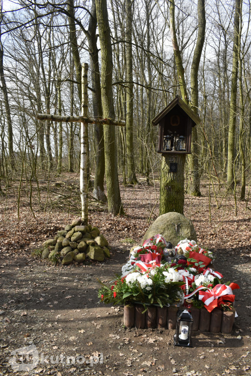 Kutno: Bieg Tropem Wilczym i hołd dla Wyklętych