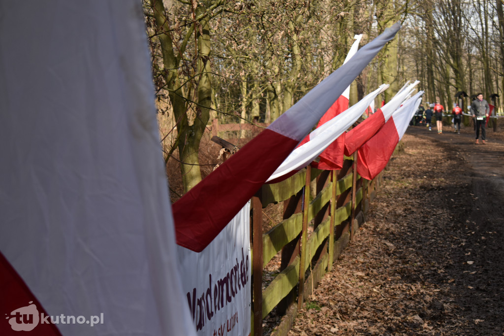 Kutno: Bieg Tropem Wilczym i hołd dla Wyklętych