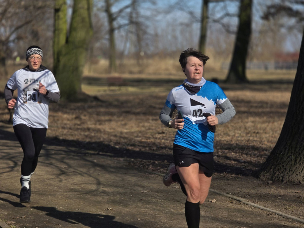 Piątek pobiegł Tropem Wilczym. Pamięć i sport w Parku Miejskim
