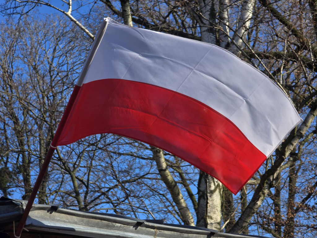 Piątek pobiegł Tropem Wilczym. Pamięć i sport w Parku Miejskim