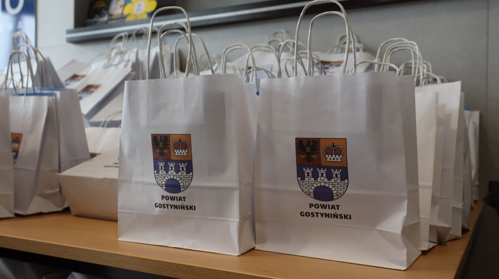 Bezpieczeństwo młodych kierowców w Gostyninie