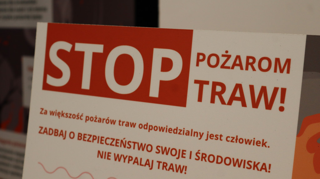 Bezpieczeństwo młodych kierowców w Gostyninie