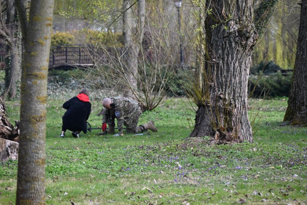 Poszukiwacze historii w akcji. Co odkryto w Łęczycy?