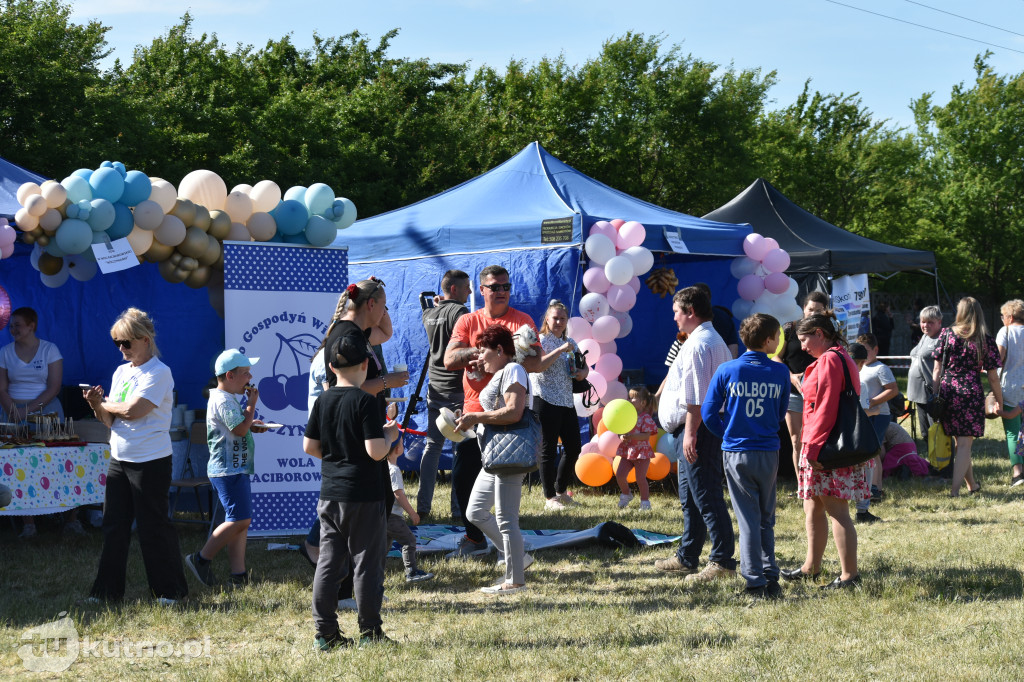 Bezpieczny Powiat - piknik w Strzelcach!