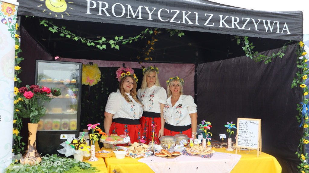 II Powiatowy Dzień Organizacji Pozarządowych w Gorzewie na Plaży Biały Łabędź