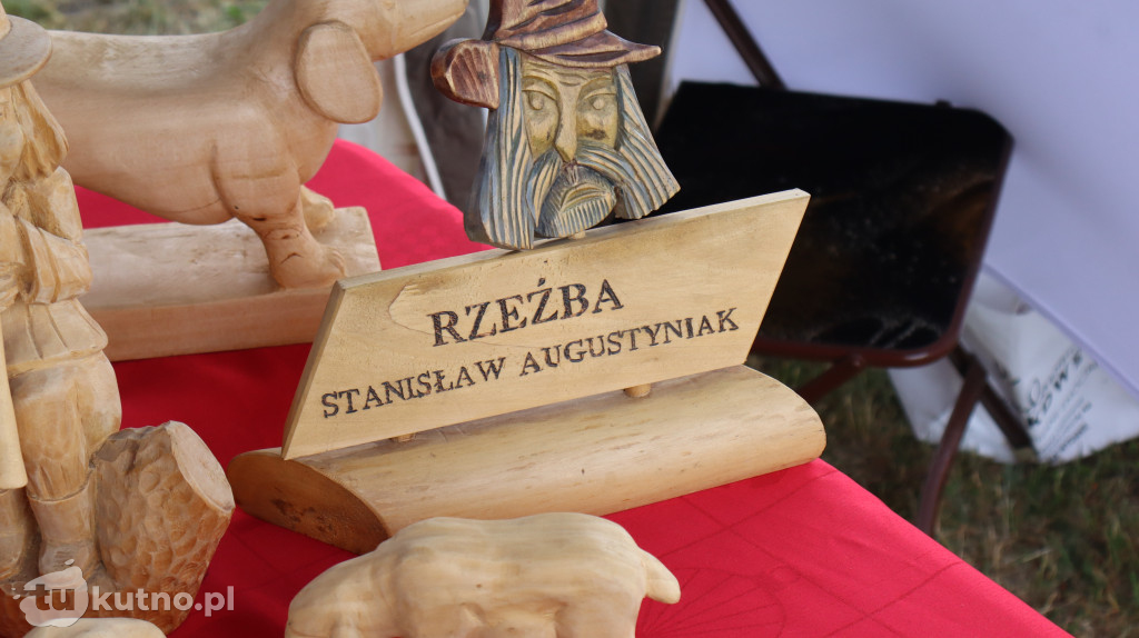 II Powiatowy Dzień Organizacji Pozarządowych w Gorzewie na Plaży Biały Łabędź