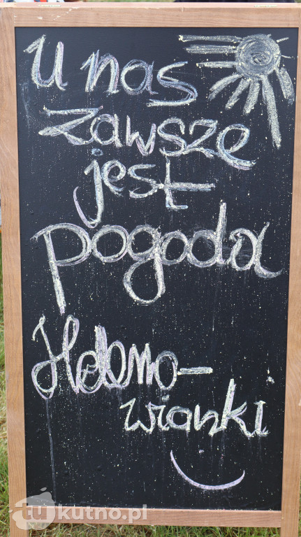 II Powiatowy Dzień Organizacji Pozarządowych w Gorzewie na Plaży Biały Łabędź