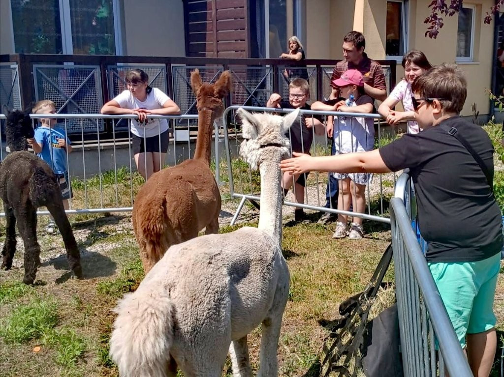 Piknik „Rodzinny zawrót głowy” w Centrum Seniora