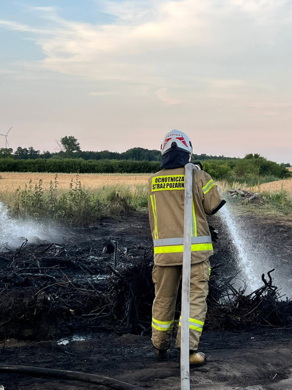 Kolejny pożar podczas upalnego dnia. Strażacy ruszyli do akcji w Julinkach