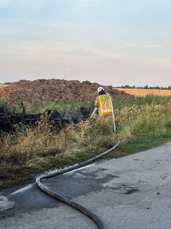 Kolejny pożar podczas upalnego dnia. Strażacy ruszyli do akcji w Julinkach