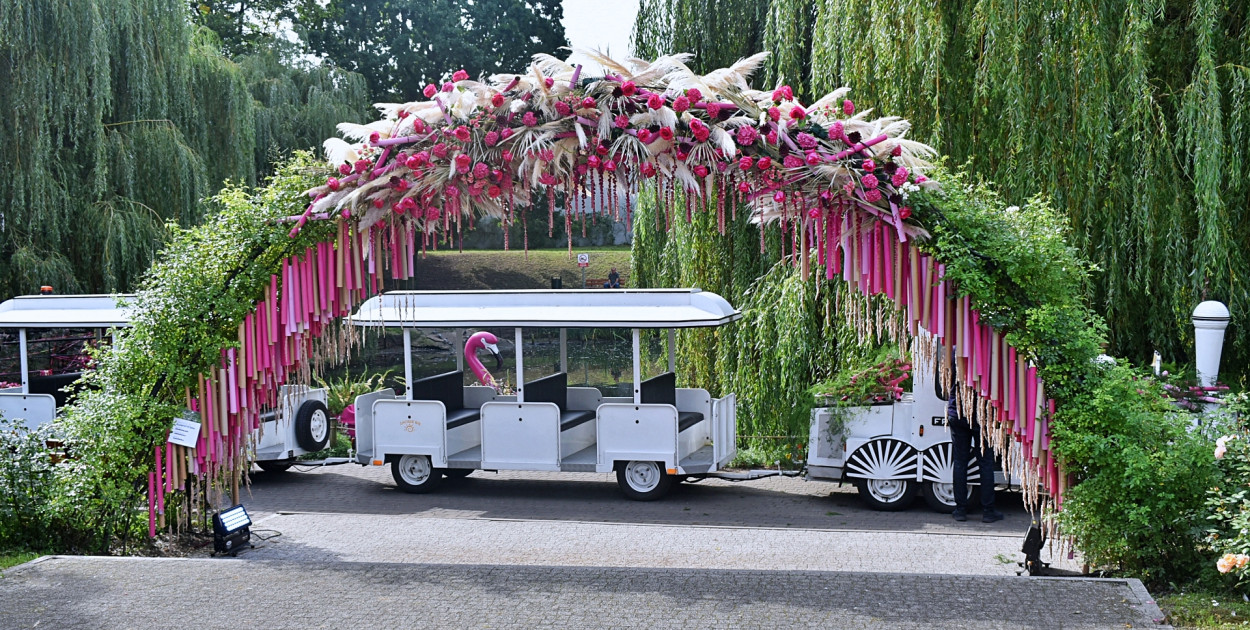 49. Święto Róży 2023 - trzy dni pełne atrakcji przeszły do historii