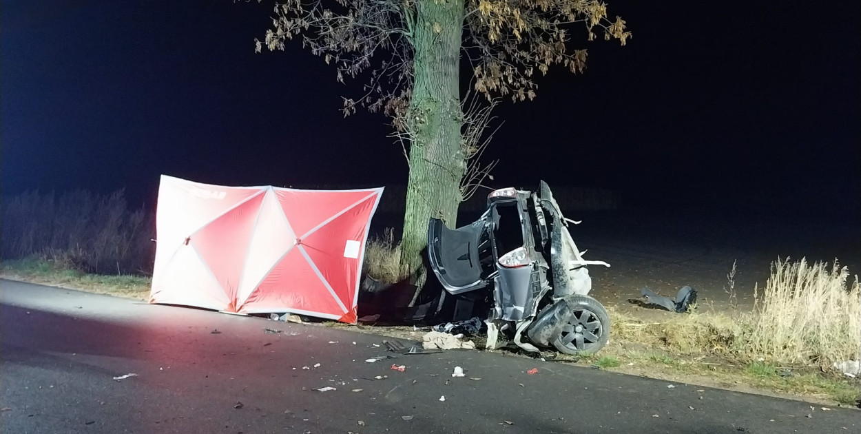 Śmiertelny wypadek! 21-latek zginął na miejscu [ZDJĘCIA]