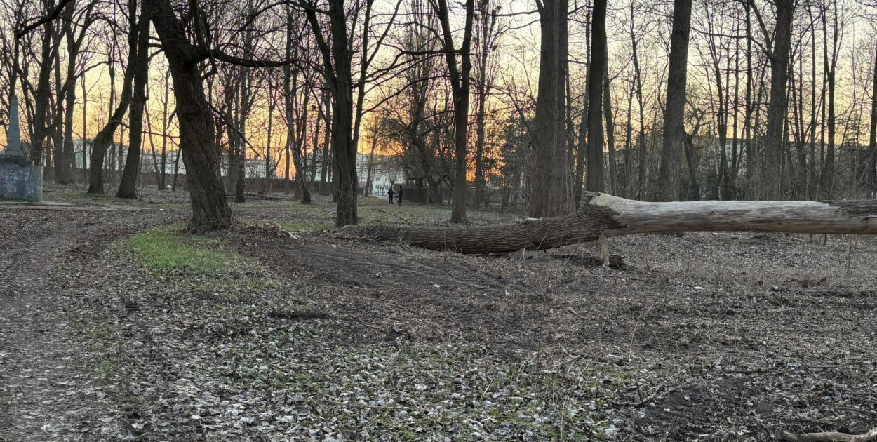 Park zmienia oblicze - prace porządkowe już się rozpoczęły [ZDJĘCIA]