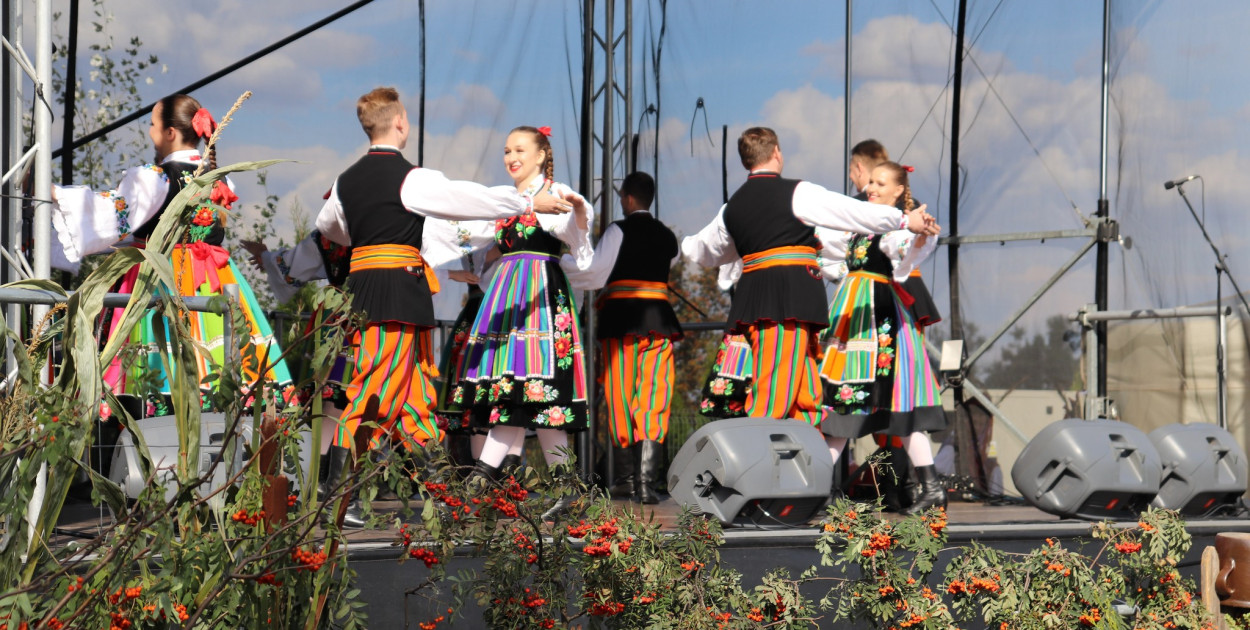 poglądowe, archiwum  Gmina Krośniewice 