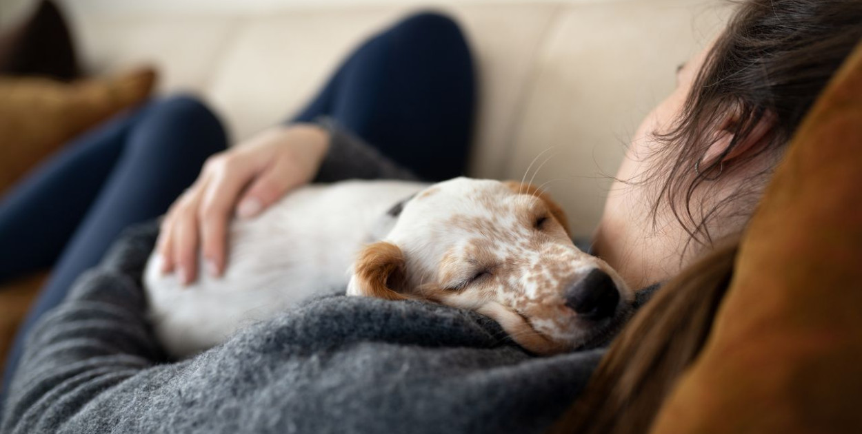 Mars Petcare