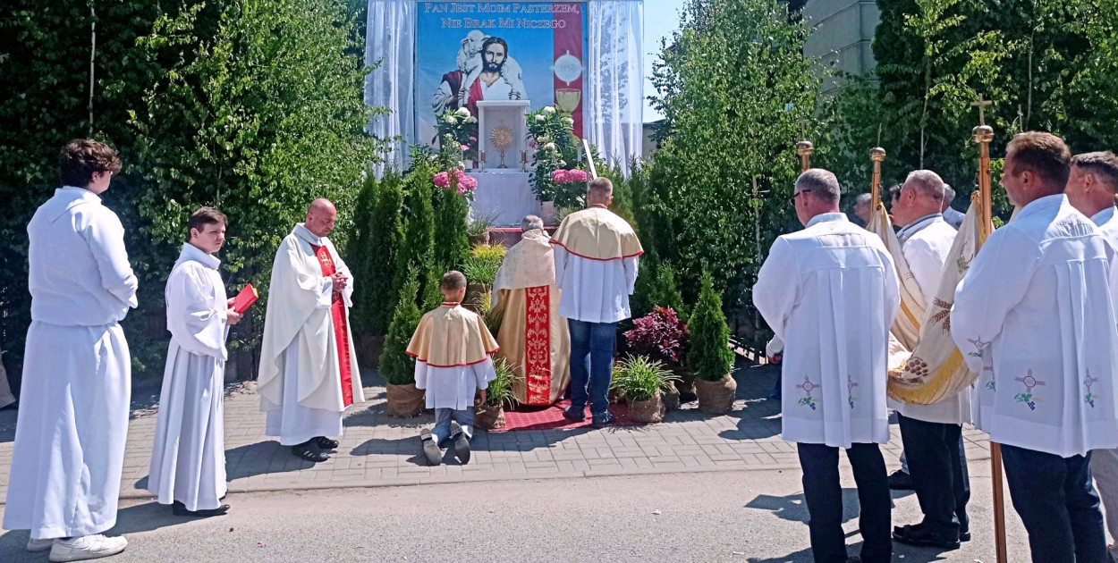 poglądowe
