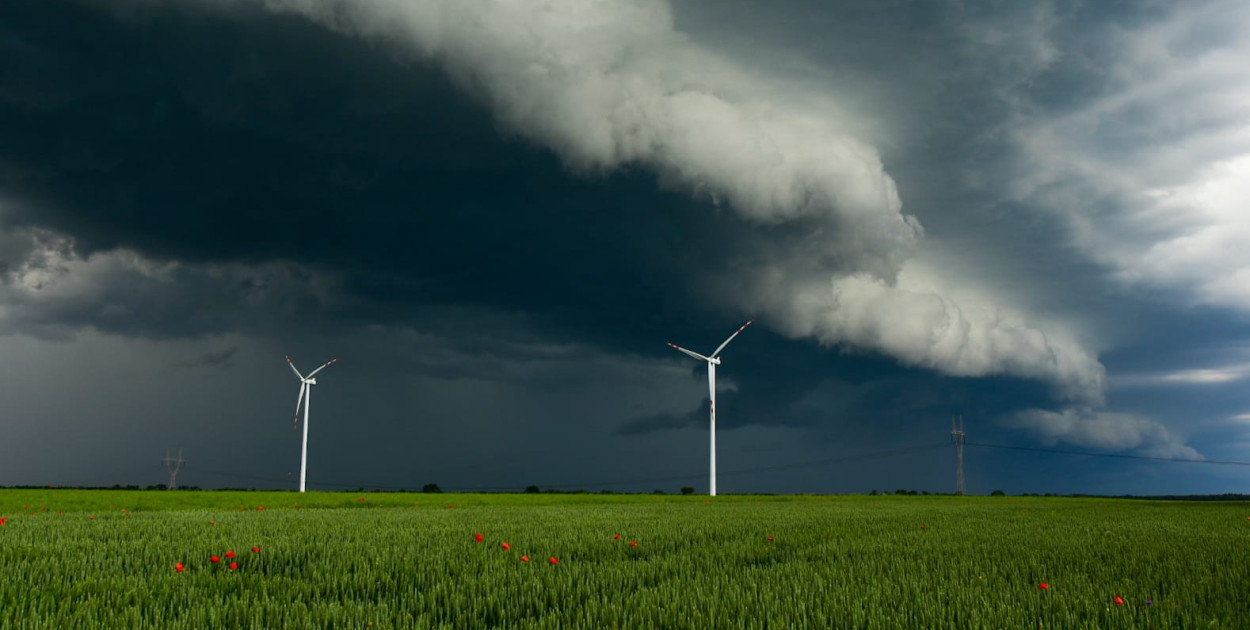 Olęncki Krystian O.K. Fotografia 