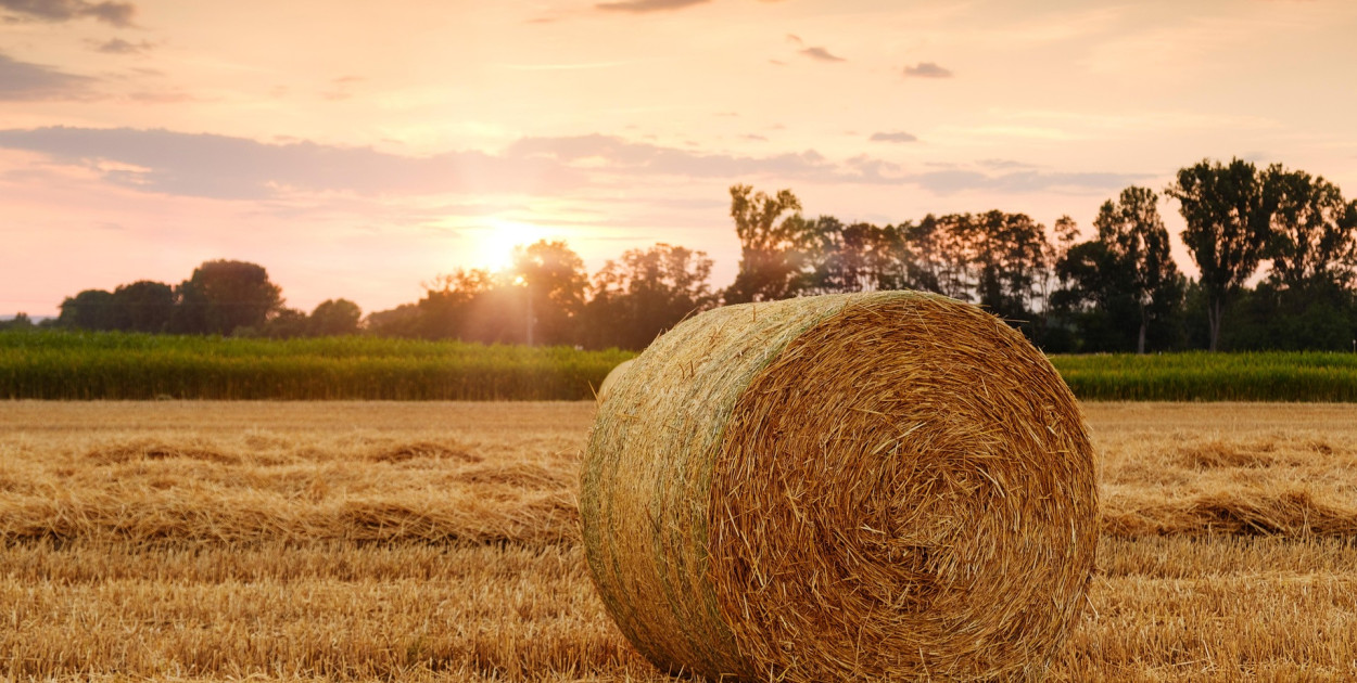 poglądowe, pixabay