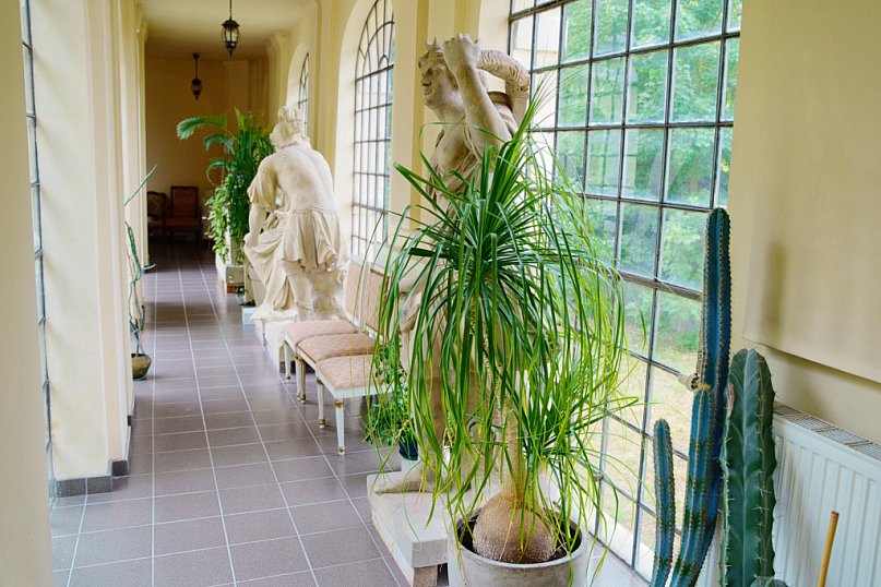 Pałac w Walewicach zachwyca