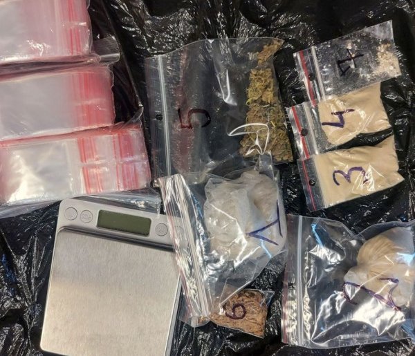 Łęczyccy policjanci zabezpieczyli ponad 68 gramów narkotyków-1184