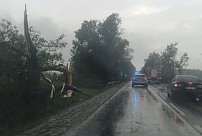 Burza sieje spustoszenie. Policja ostrzega: omijajcie DK60!-11978