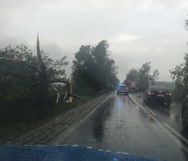 Burza sieje spustoszenie. Policja ostrzega: omijajcie DK60!-11978