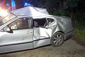 Auto rozbite na łuku drogi - samochód uderzył w transformator i drzewo [ZDJĘCIA]-12530