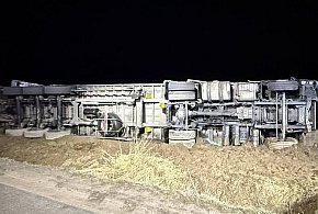 Przewrócona ciężarówka ze zwierzętami pod Kutnem