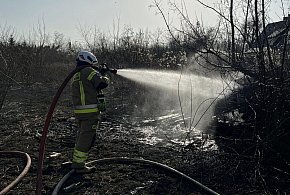 Groźny pożar altany w Kutnie. Ogień objął także suchą trawę