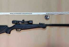 Bestialskie znęcanie nad zwierzęciem. Strzelał do kota z wiatrówki