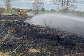 Pożar traw obok Kutna. Służby opanowały żywioł