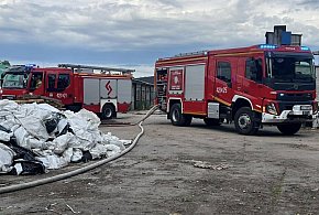 Pożar nieużytków przy tartaku. Strażacy walczyli z ogniem na ul. Przemysłowej