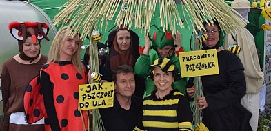 "Jak pszczoły do ula". Gmina Witonia zaprasza na konkurs z okazji Święta Miodu