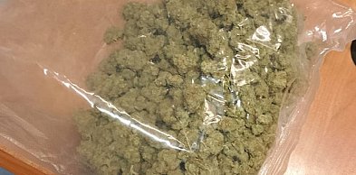 Wpadł przez brak podświetlenia tablicy. W aucie miał ponad 450 g marihuany