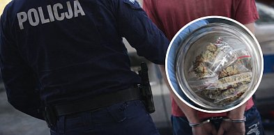 Amfetamina w kieszeni, marihuana w domu. Policyjna akcja w Kutnie