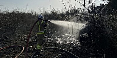 Groźny pożar altany w Kutnie. Ogień objął także suchą trawę