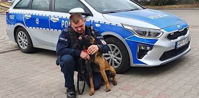 Czworonożna policjantka rozpoczęła służbę w Kutnie