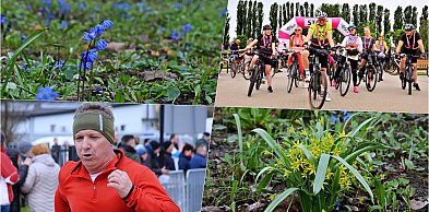 Wiosna w Kutnie: Mieszkańcy już cieszą się słońcem i pierwszymi kwiatami