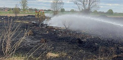 Pożar traw obok Kutna. Służby opanowały żywioł