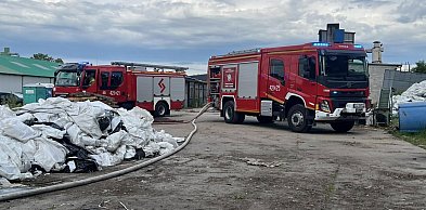 Pożar nieużytków przy tartaku. Strażacy walczyli z ogniem na ul. Przemysłowej
