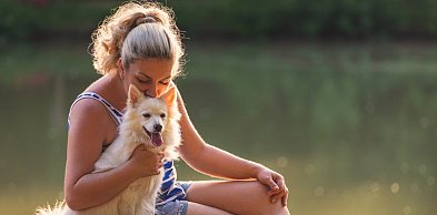 Dzień Psa: o czym warto pamiętać, by pies był zdrowy i szczęśliwy?
